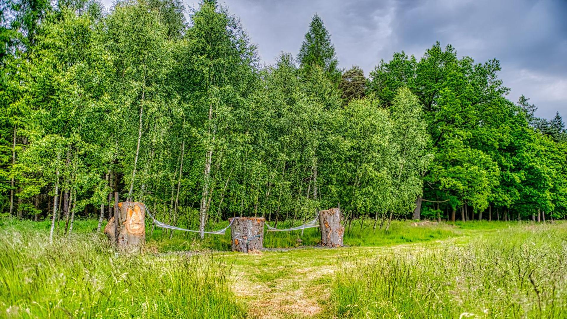 Izerska Baza - Basen, Ebike, Narty, Sauna, Jacuzzi, Las Blisko Swieradow Zdroj - 5D Apartamenty Giebultow  Экстерьер фото